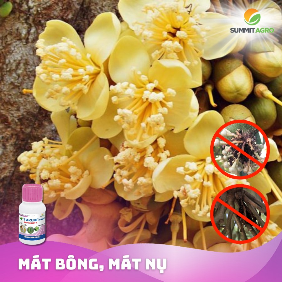 Thuốc trừ sâu Takumi 20SC - Chai 50ml